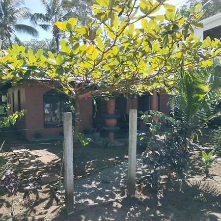 Micheck Beach House ตอร์ตูเกโร ภายนอก รูปภาพ