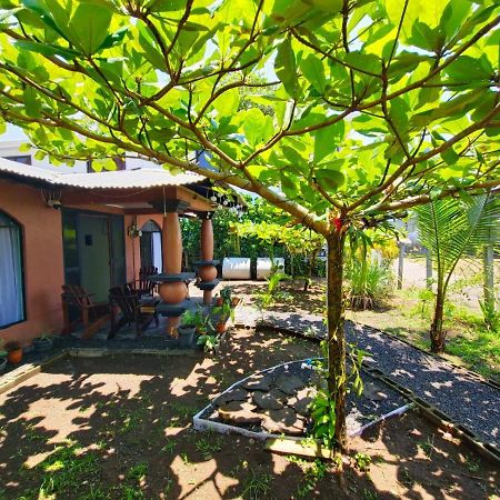 Micheck Beach House ตอร์ตูเกโร ภายนอก รูปภาพ