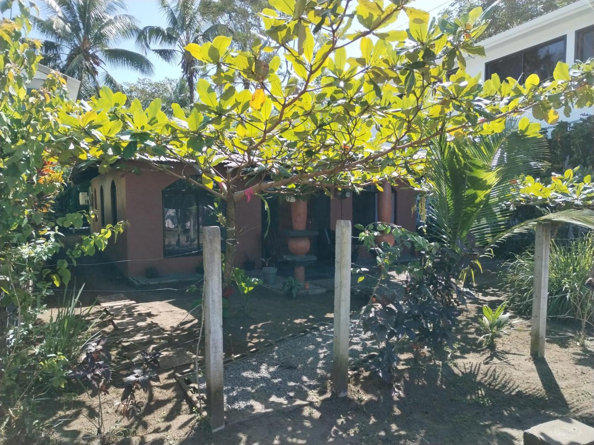 Micheck Beach House ตอร์ตูเกโร ภายนอก รูปภาพ