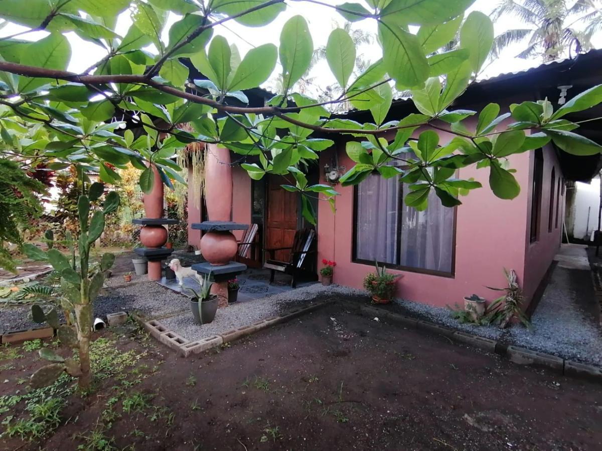 Micheck Beach House ตอร์ตูเกโร ภายนอก รูปภาพ
